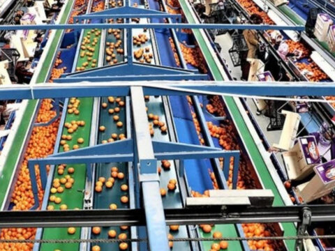 Turkiye gida ihracatinda dunyanin 14uncusu gida enflasyonunda ise acik ara ilk sirada 3m6XW5UK
